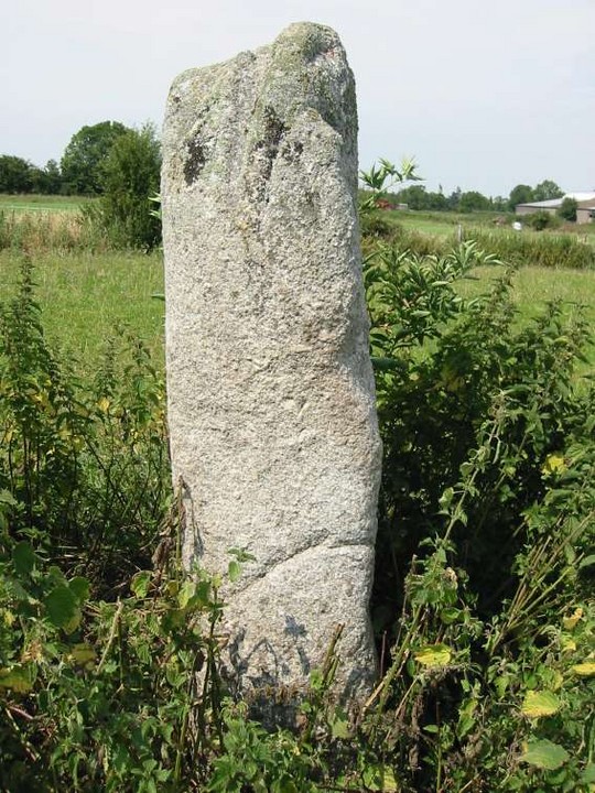 Kilmagarvoge (Standing Stone / Menhir) by ryaner