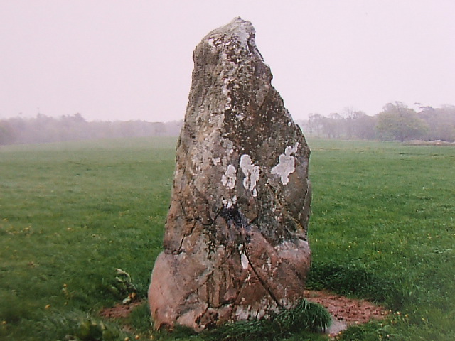 Maen Llwyd (Plas Newydd) (Standing Stone / Menhir) by postman