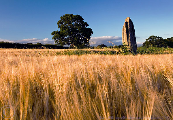 Ardristan (Standing Stone / Menhir) by CianMcLiam