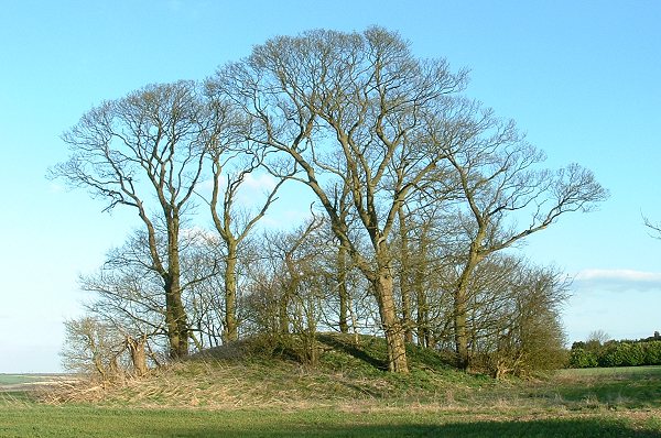 Bully Hill (Round Barrow(s)) by Chris Collyer