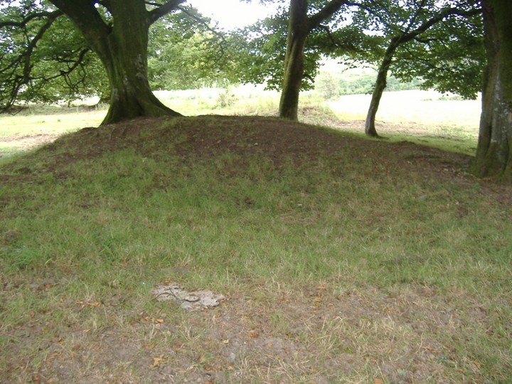 Shevry (Artificial Mound) by bawn79