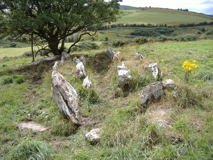 Knockcurraghbola Crowlands (west) (Wedge Tomb) by bawn79