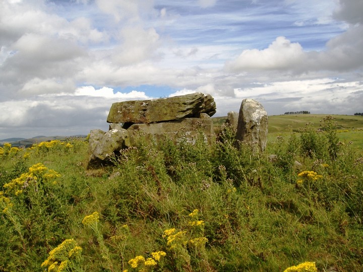 Knockcurraghbola Commons (Wedge Tomb) by bawn79