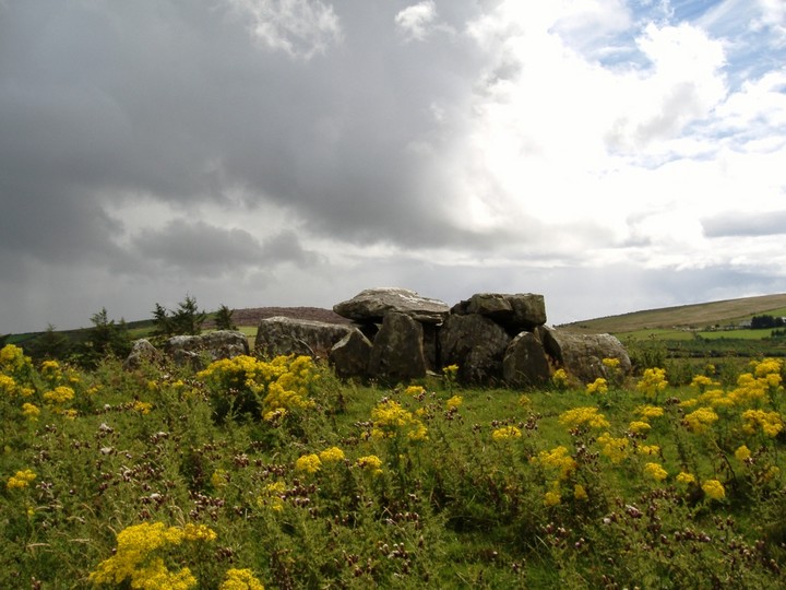 Knockcurraghbola Commons (Wedge Tomb) by bawn79