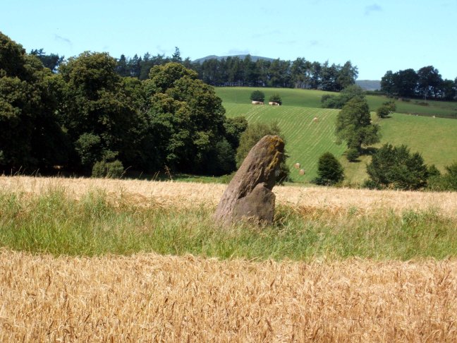 Concraig (Standing Stone / Menhir) by nickbrand
