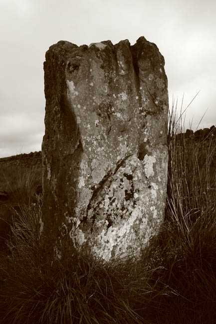 Doddington Stone Circle (Stone Circle) by Hob