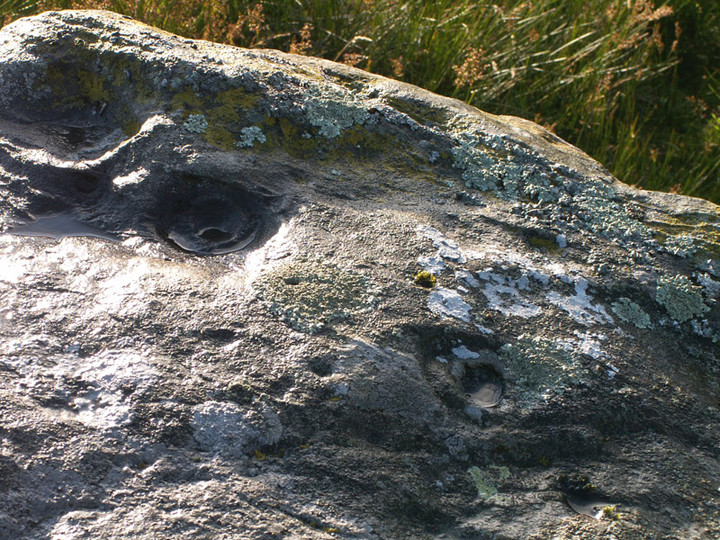 Lamford Hill (Cup and Ring Marks / Rock Art) by rockartwolf