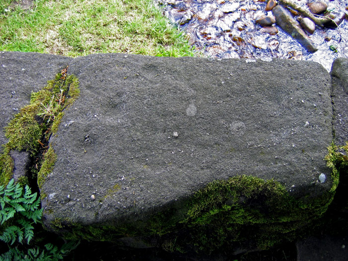 Wycoller Hall (Cup Marked Stone) by LivingRocks