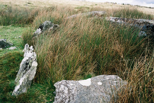 Carn Llechart (Cairn circle) by matt saze