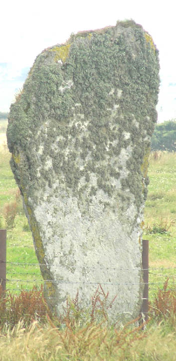Barnhouse Stone (Standing Stone / Menhir) by wideford