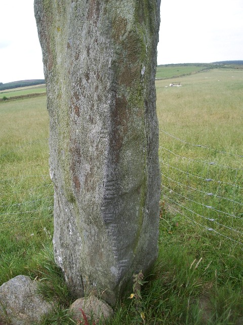 Auquhollie Stone (Standing Stone / Menhir) by taras