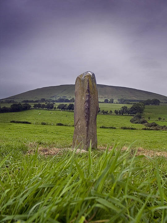 Corvally (Standing Stone / Menhir) by minipixel