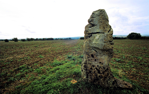 Hawk Stone (Standing Stone / Menhir) by Zeb
