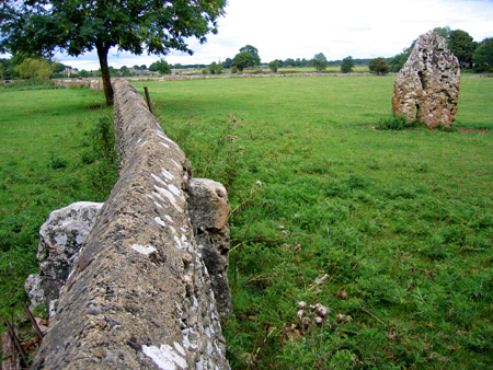 The Longstone of Minchinhampton (Standing Stone / Menhir) by Zeb