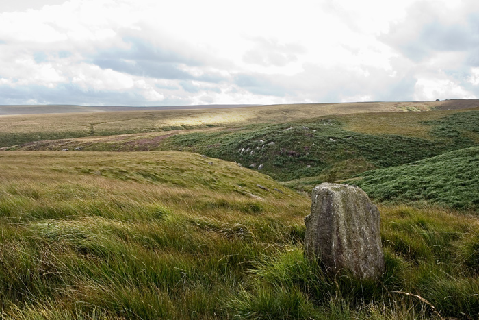 Sutcliffe Rough Standing Stone (Standing Stone / Menhir) by LivingRocks