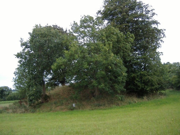 Heathtown Mound (Artificial Mound) by bawn79