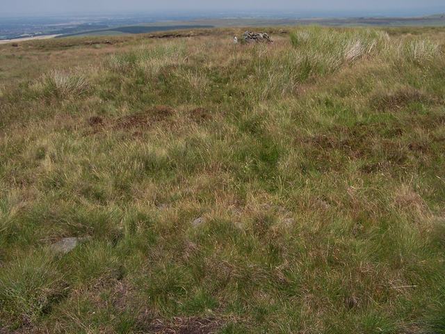 Winter Hill Cairn (Cairn(s)) by treehugger-uk