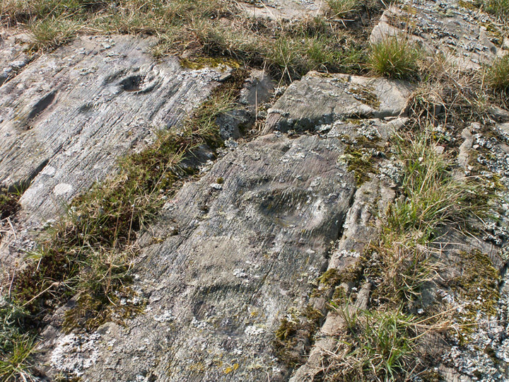 Glasserton Mains (Cup and Ring Marks / Rock Art) by rockartwolf