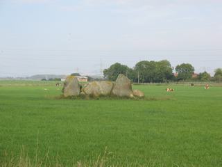 South Leylodge (Standing Stones) by Chris