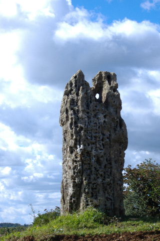 Hawk Stone (Standing Stone / Menhir) by jacksprat
