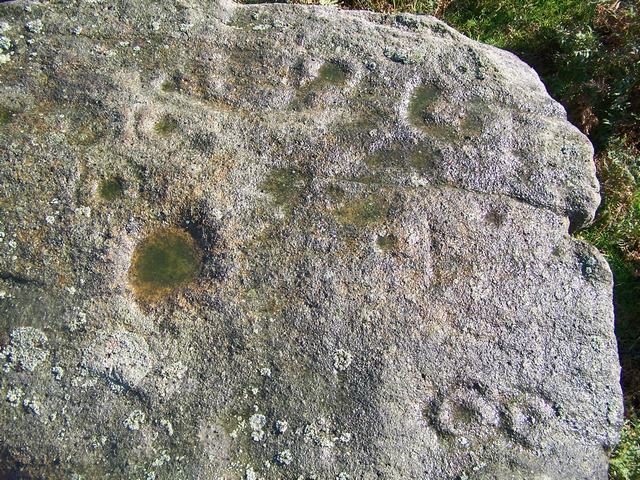 Addingham Crag Stone (Cup and Ring Marks / Rock Art) by treehugger-uk