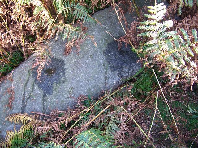 WoodHouse Crag (Cup Marked Stone) by treehugger-uk
