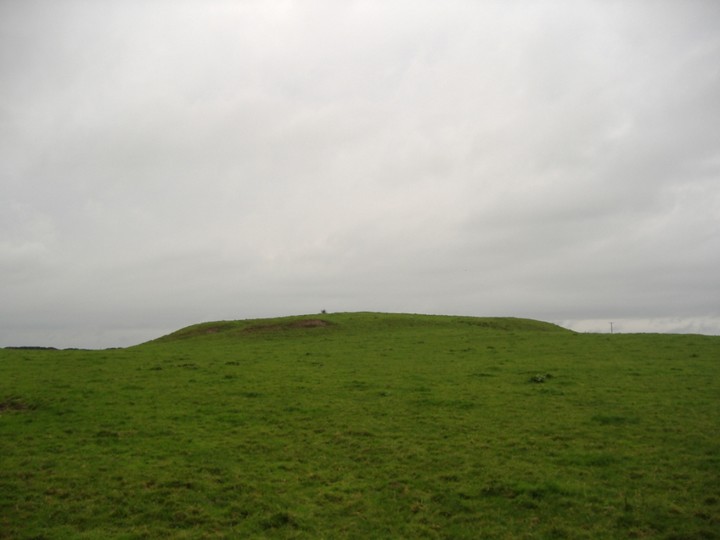 Rath Cruachan (Artificial Mound) by bawn79