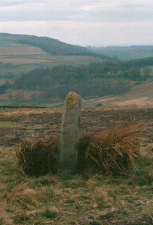 Kildale Un-named stone (Standing Stone / Menhir) by fitzcoraldo