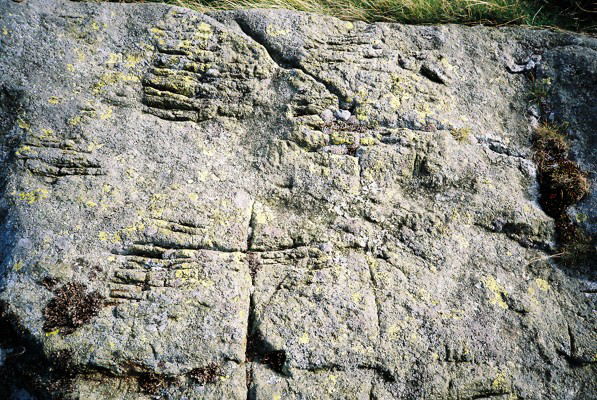 Arrow Stone I Near Ffridd Newydd (Carving) by Idwal