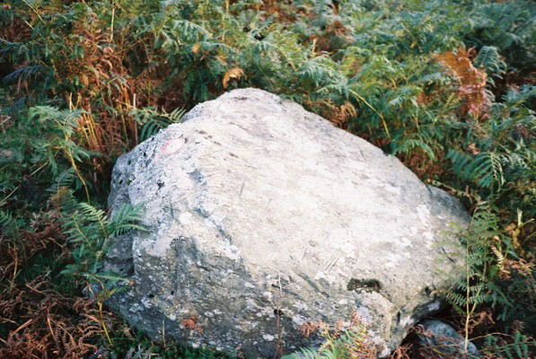 Afon Anafon Arrow Stone (Carving) by Idwal