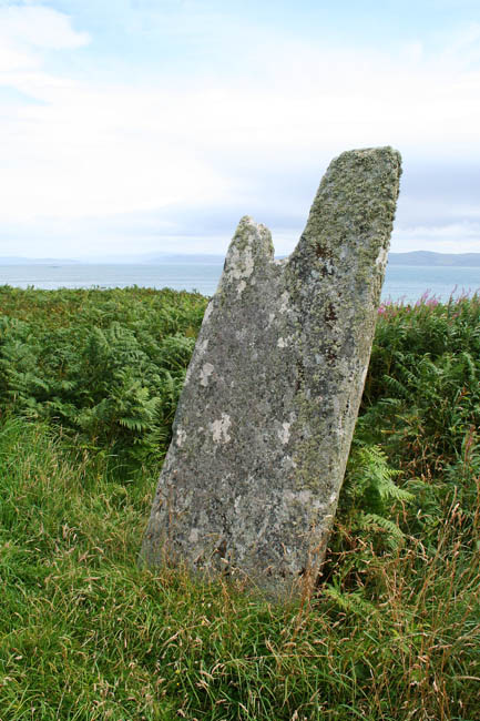 Carragh an Tarbert (Standing Stone / Menhir) by Hob