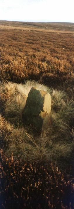 Commondale (Stone Circle) by alirich
