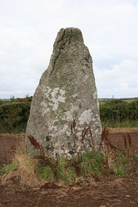 The Blind Fiddler (Standing Stone / Menhir) by photobabe