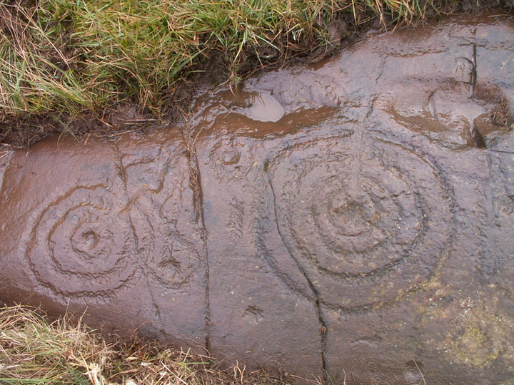 Newlaw Hill 3 (Cup and Ring Marks / Rock Art) by pebblesfromheaven