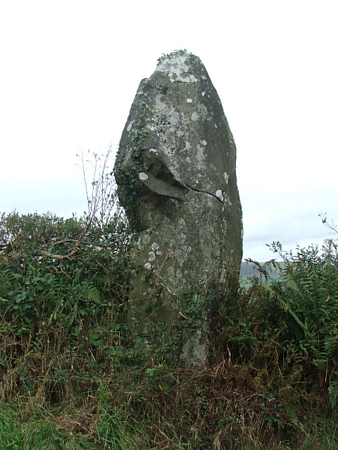 Llanfyrnach stone A (Standing Stone / Menhir) by postman