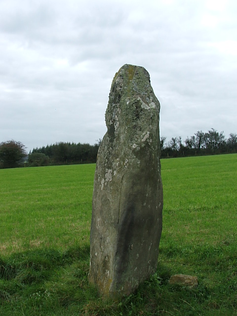 Llanfyrnach Stone B (Standing Stone / Menhir) by postman