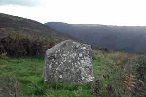 Poppy Stone (Standing Stone / Menhir) by tuesday