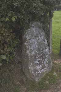 Berrisbrook (Standing Stones) by tuesday