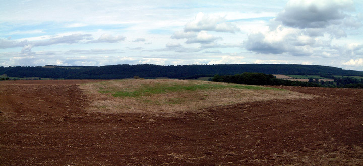 Haddon Fields North (Round Barrow(s)) by stubob