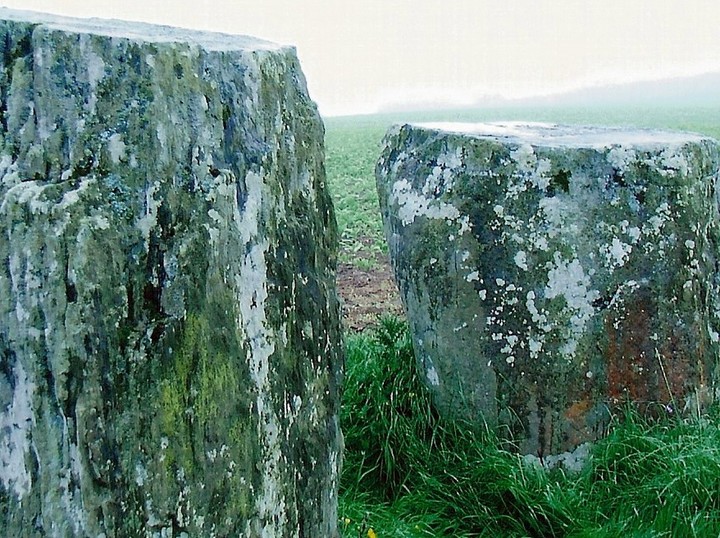 Templebryan (Stone Circle) by postman