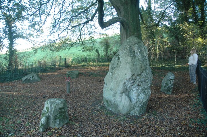 The Nine Stones of Winterbourne Abbas (Stone Circle) by Jane