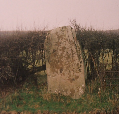 The Tretower Stone (Standing Stone / Menhir) by postman