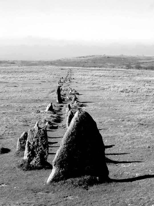 The Plague Market At Merrivale (Multiple Stone Rows / Avenue) by Mr Hamhead