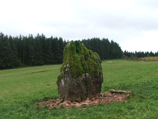 Gwern Wyddog (Standing Stone / Menhir) by postman