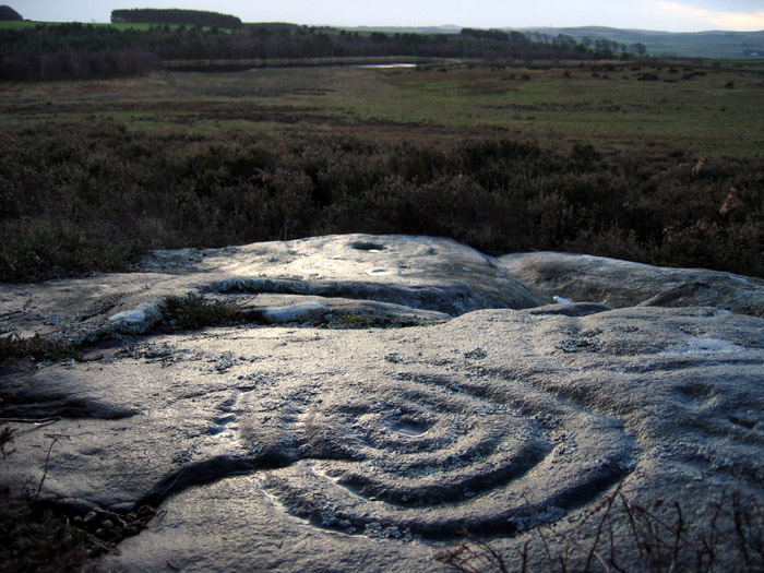 Coldmartin Loughs 1-2 (Cup and Ring Marks / Rock Art) by rockandy