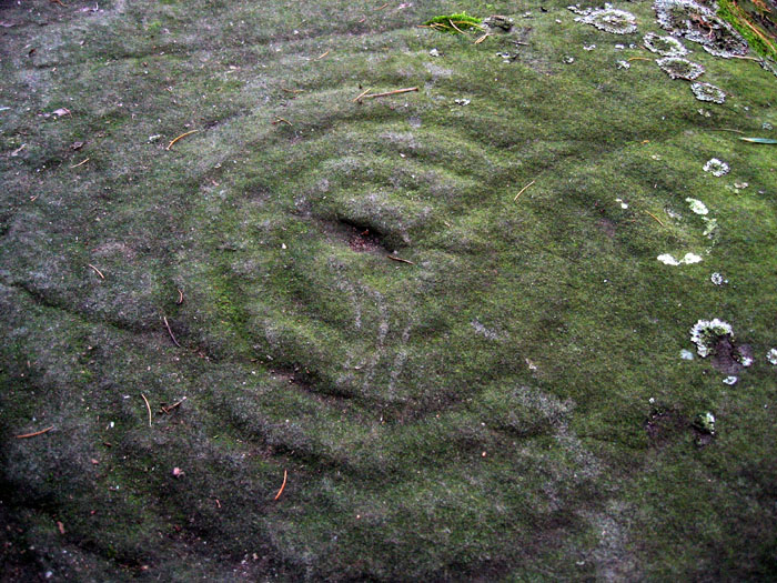 Weetwood Moor (Cup and Ring Marks / Rock Art) by rockandy