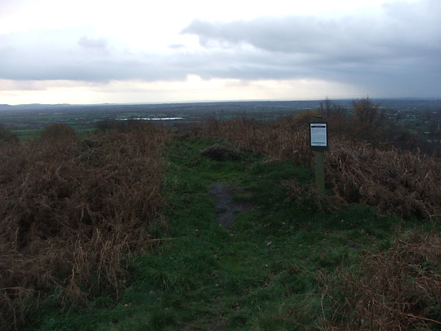 Helsby Hill (Promontory Fort) by postman