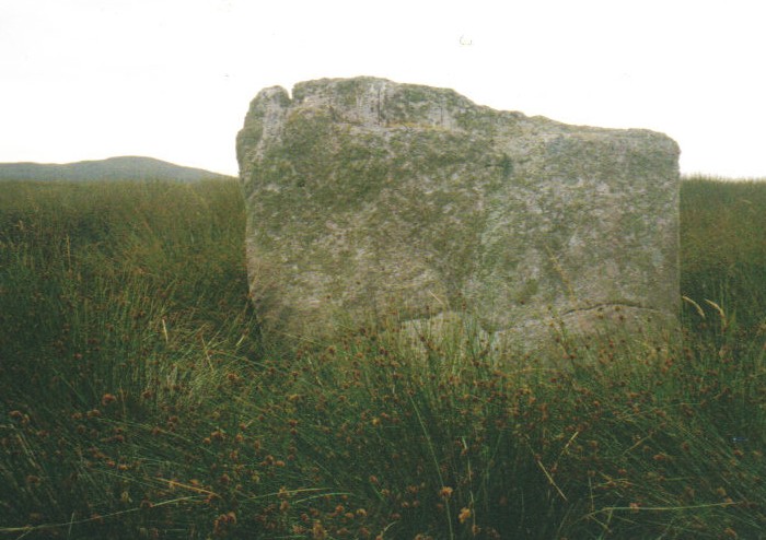 Carragh Bhan (Standing Stone / Menhir) by Neil-NewX