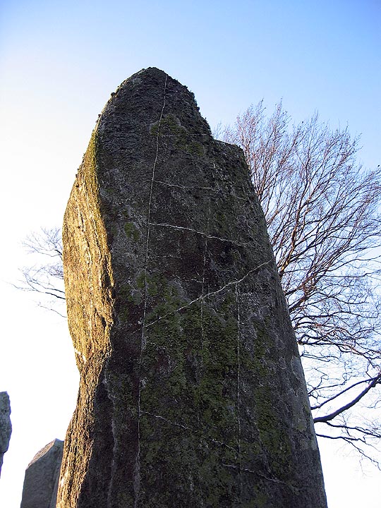 Tyrebagger (Stone Circle) by fitzcoraldo