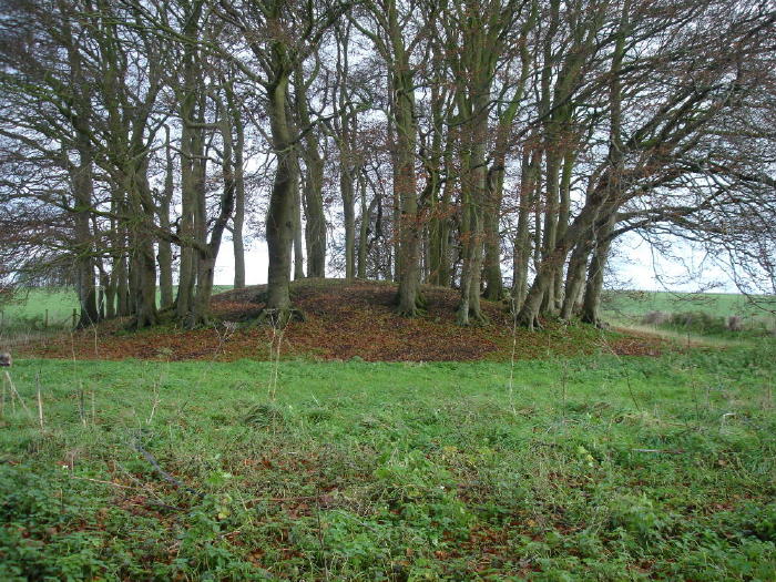Overton Hill (Barrow / Cairn Cemetery) by moss
